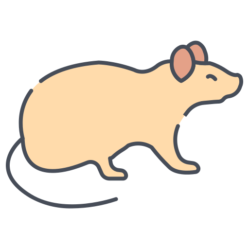 Rat Generic color lineal-color icon