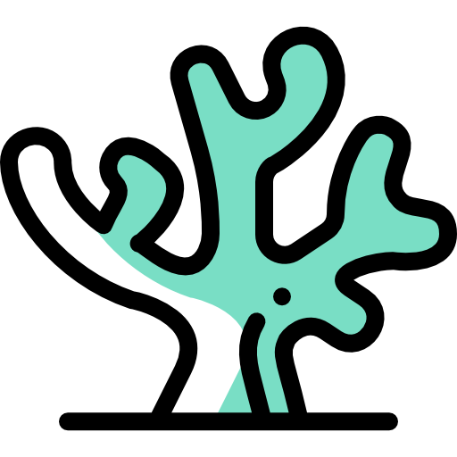 산호 Detailed Rounded Color Omission icon