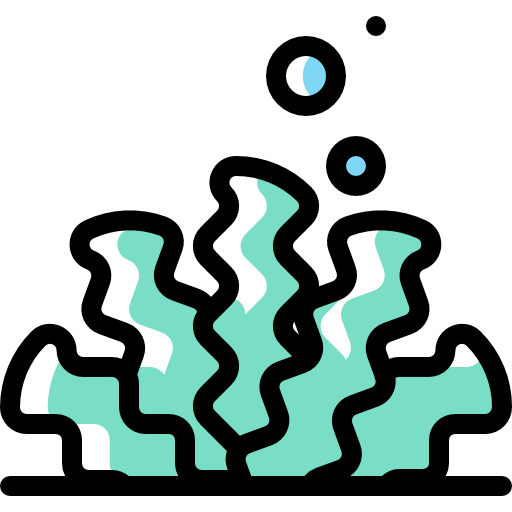 海藻 Detailed Rounded Color Omission icon