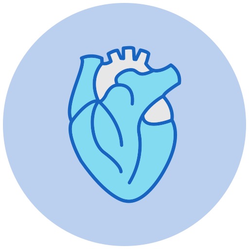 Heart Generic color lineal-color icon