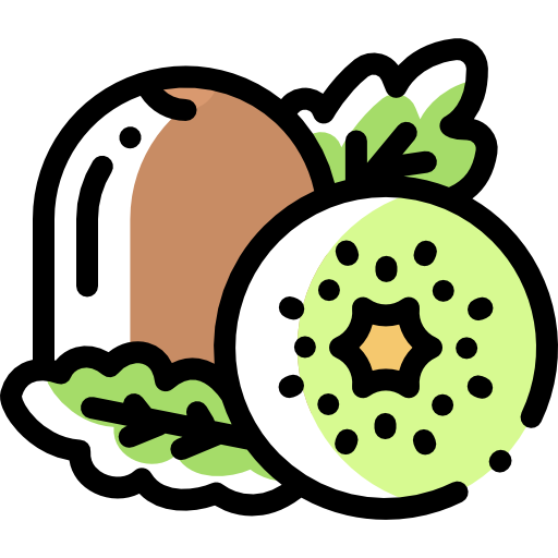 kiwi Detailed Rounded Color Omission icono