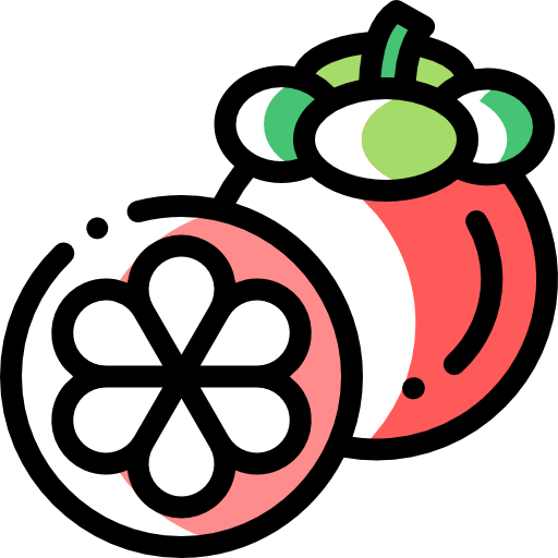 Mangosteen Detailed Rounded Color Omission icon