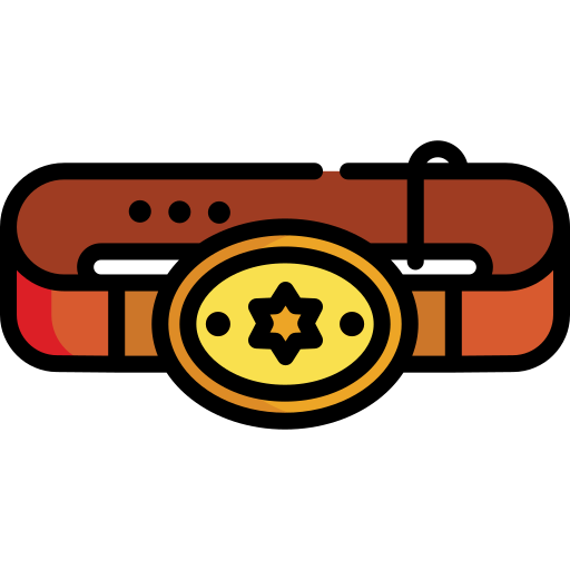 Belt Special Lineal color icon