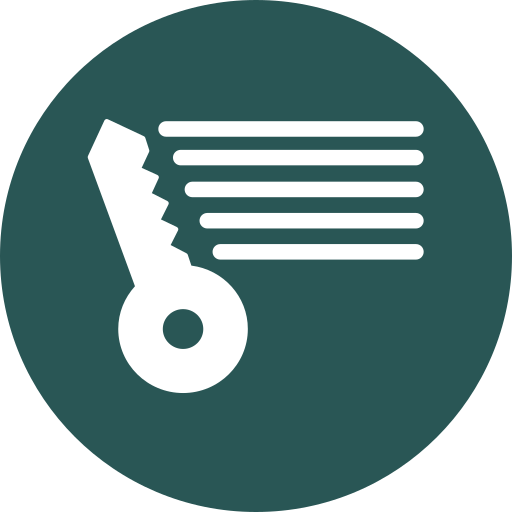 Key Generic color fill icon