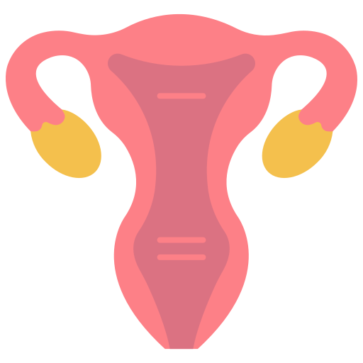 Órganos femeninos Generic color fill icono
