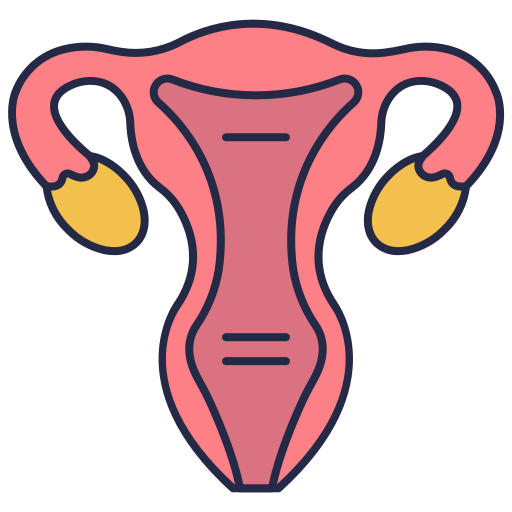vrouwelijke organen Generic color lineal-color icoon