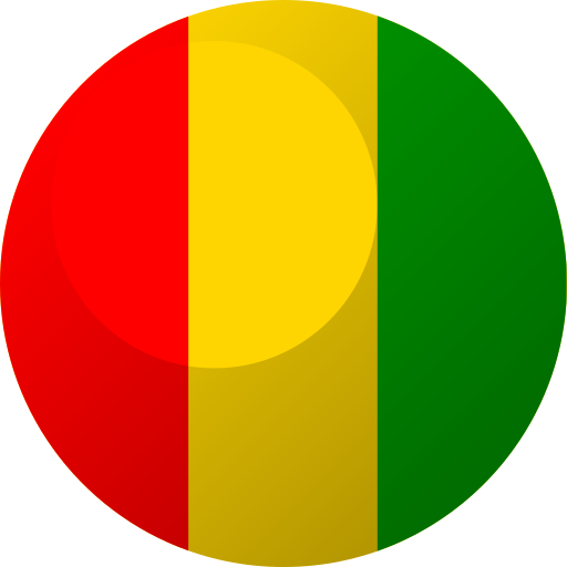 Guinea Generic color fill icon